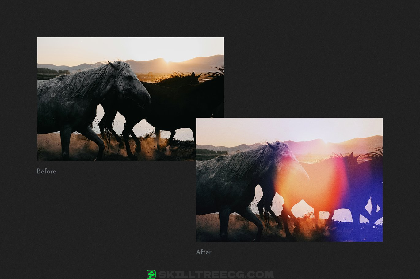 图片[4]-Dreamy Light Leak Overlays vol 1（446862）-技能树